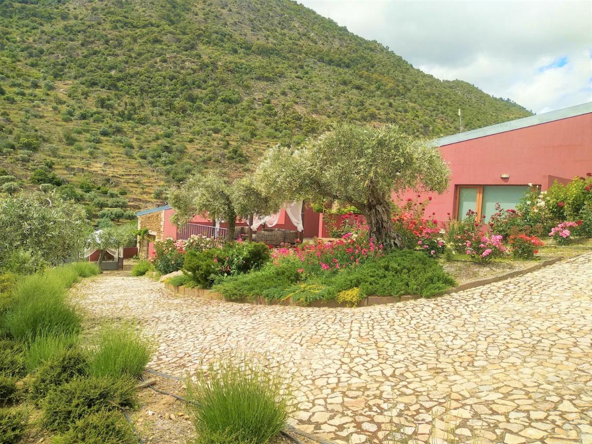 Quinta Vale De Carvalho Guest House Pinhal do Douro Екстериор снимка